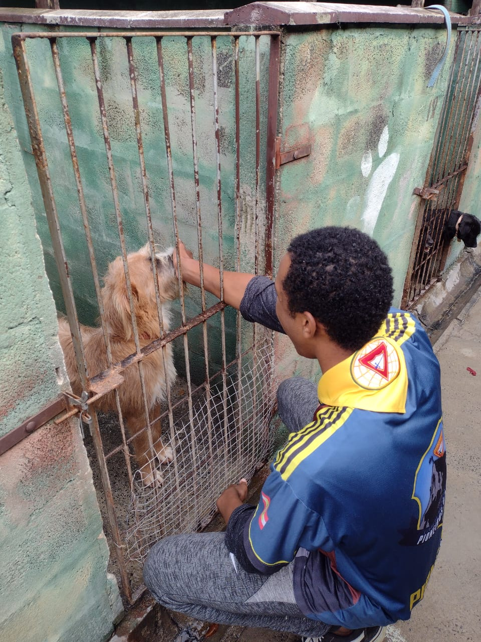 Animal resgatado pelo refúgio - momento 1